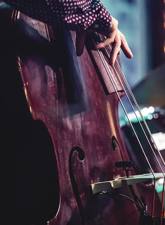 Bildausschnitt eines Kontrabassisten mit seinem Instrument. Man sieht nur die rechte Hand, die Finger pressen die Saiten auf dem Instrument. Im Hintergrund erahnt man eine Bühnensituation